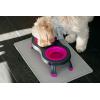 image:imageDexas Pets Double Elevated Pet Feeder 25 Cup Bowls Pro Blue PW1104322194Fuchsia