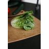 image:imageDexas Natural Fiber Dishwasher Safe Composite Cutting Board 8 x 5875115 by 9 inches