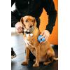 image:imageDexas BrushBuster Silicone Gentle Dog Grooming and Massage BrushPro Blue