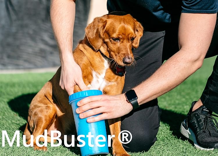 Dexas : Durable Kitchen Tools & Pet Supplies