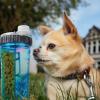 image:imageDexas Popware for Pets Snack Duo Dual Chambered Hydration Bottle and Snack Container with Collapsible Pet Cup BlueBlue
