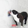 image:imageDexas Snack amp Distract Licking Mat with Catch Tray for Dogs and Cats95x 55 Pro Blue Sticks to Most Slick or Smooth Surfaces Eases Anxiety Prevents Boredom Entertains and DistractsLight Gray