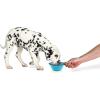 image:imageDexas Popware for Pets Collapsible Travel Cup Large GrayBlueGrayBlue