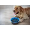 image:imageDexas Seek and Snack Slow Feeder Maze with Non Slip Feet 6 Cup Capacity Blue PW3062194Blue