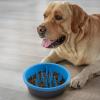 image:imageDexas Seek and Snack Slow Feeder Maze with Non Slip Feet 6 Cup Capacity Blue PW3062194Blue