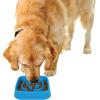 image:imageDexas Seek and Snack Slow Feeder Maze with Non Slip Feet 6 Cup Capacity Blue PW3062194Blue