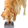 image:imageDexas Seek and Snack Slow Feeder Maze with Non Slip Feet 6 Cup Capacity Blue PW3062194Gray