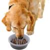 image:imageDexas Seek and Snack Slow Feeder Maze with Non Slip Feet 6 Cup Capacity Blue PW3062194Gray