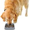 image:imageDexas Seek and Snack Slow Feeder Maze with Non Slip Feet 6 Cup Capacity Blue PW3062194Gray