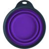 Gray/Purple