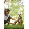 image:imageDexas MudBuster Portable Dog Paw Cleaner Large Blue PW720312Black