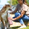 image:imageDexas MudBuster Portable Dog Paw Cleaner Large Blue PW720312Blush