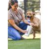 image:imageDexas MudBuster Portable Dog Paw Cleaner Large Blue PW720312Bright White