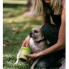 image:imageDexas MudBuster Portable Dog Paw Cleaner Large Blue PW720312Green