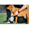 image:imageDexas MudBuster Portable Dog Paw Cleaner Large Blue PW720312Light Grey