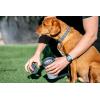 image:imageDexas MudBuster Portable Dog Paw Cleaner Large Blue PW720312Light Grey