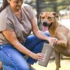 image:imageDexas MudBuster Portable Dog Paw Cleaner Large Blue PW720312Taupe