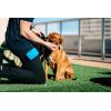 image:imageDexas Pets Pooch Pouch Flexible Dog TreatTraining Treat Clip Pouch Pro BluePro Blue