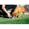 image:imageDexas Popware for Pets Snack Duo Dual Chambered Hydration Bottle and Snack Container with Collapsible Pet Cup GreenLight Gray