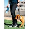 image:imageDexas Popware for Pets Snack Duo Dual Chambered Hydration Bottle and Snack Container with Collapsible Pet Cup GreenPro Blue