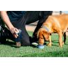 image:imageDexas Popware for Pets Snack Duo Dual Chambered Hydration Bottle and Snack Container with Collapsible Pet Cup GreenPro Blue